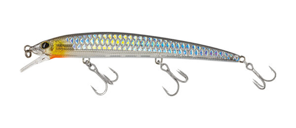 #529 Silver Ghost Scales