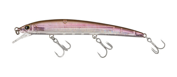 #567 Ghost Natural Shad