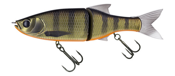 Dark Gill Orange Belly