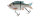 Molix Glide Bait 140 F 14cm 56g