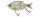 Molix Glide Bait 140 F 14cm 56g