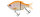 Molix Glide Bait 140 SS 14cm 63g