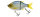 Molix Glide Bait 140 SS 14cm 63g