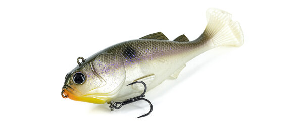 Blueback Herring