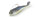 Alewife Laminate