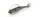 Blueback Herring