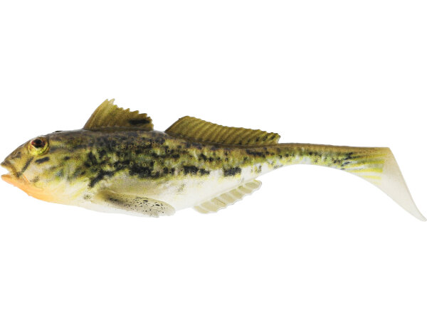 Spotted Goby