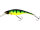 Westin Platypus Crankbait 22cm 150g Large