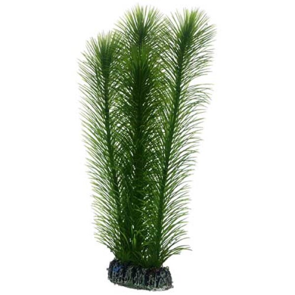 25cm